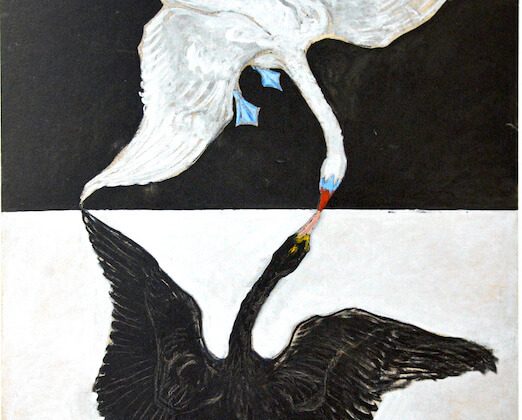 Schwan Nr.1 von Hilma af Klint für weisse und schwarze Magie