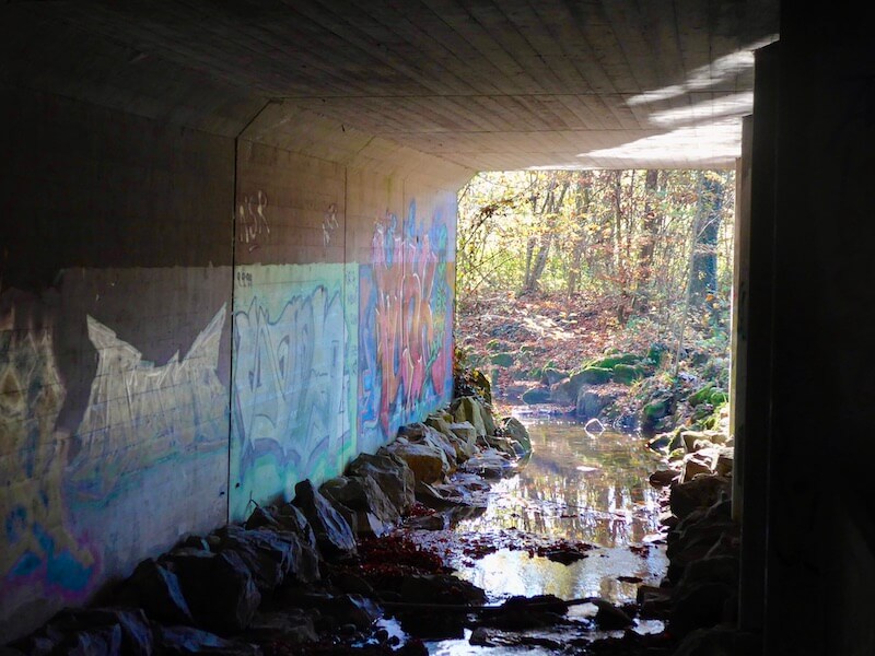 Graffiti-Tunnell (vom Dunkel ins Licht)