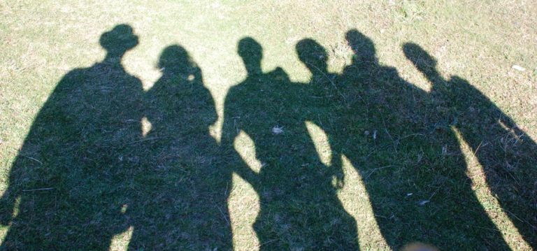 Der Schatten (die innere Familie)